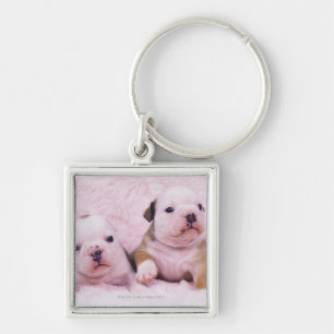 Porte-clés Bouledogue ; a souvent appelé le bouledogue