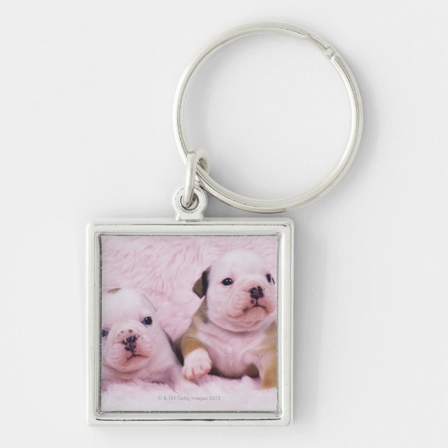 Porte-clés Bouledogue ; a souvent appelé le bouledogue (Devant)