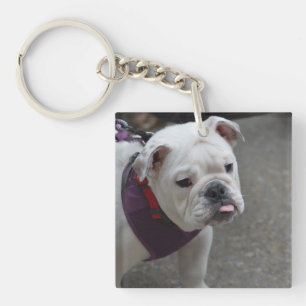 Porte-clés Bouledogue adorable