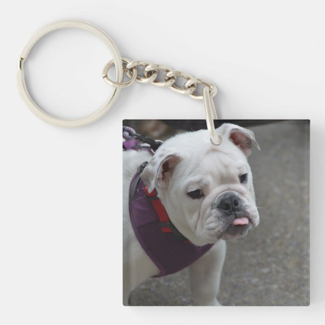Porte-clés Bouledogue adorable (Devant)