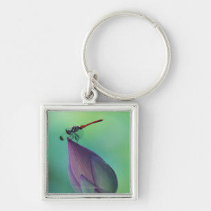 Porte-clés Bourgeon floral de Lotus et une libellule