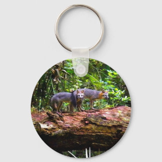 PORTE-CLÉS BRUNISSEMENT DE LA TAILLE FOX