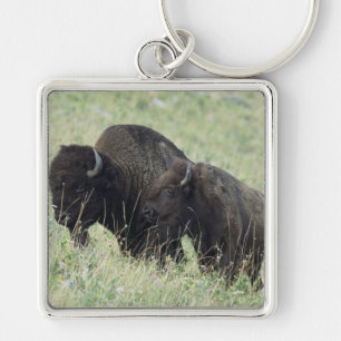 Porte-clés Buffalo américain