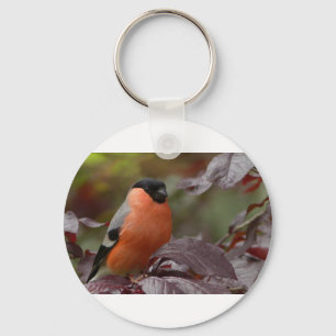 Porte-clés Bull Finch