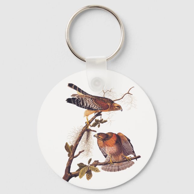 Porte-clés Buse à épaulettes roux Audubon Oiseau de proie (Recto)