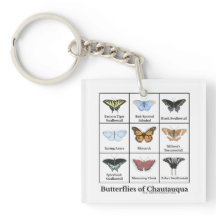 Butterflies of Chautauqua