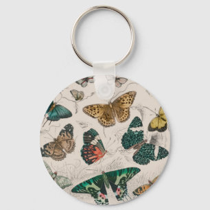 Porte-clés butterfly collection antique watercolor art butter