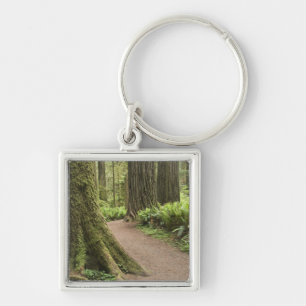 Porte-clés CA, Jedediah Smith State Park, Simpson-Reed