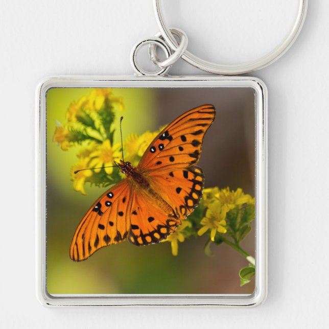 Porte-clés Cadeaux et vêtements de papillon fritillaire du Go (Devant)