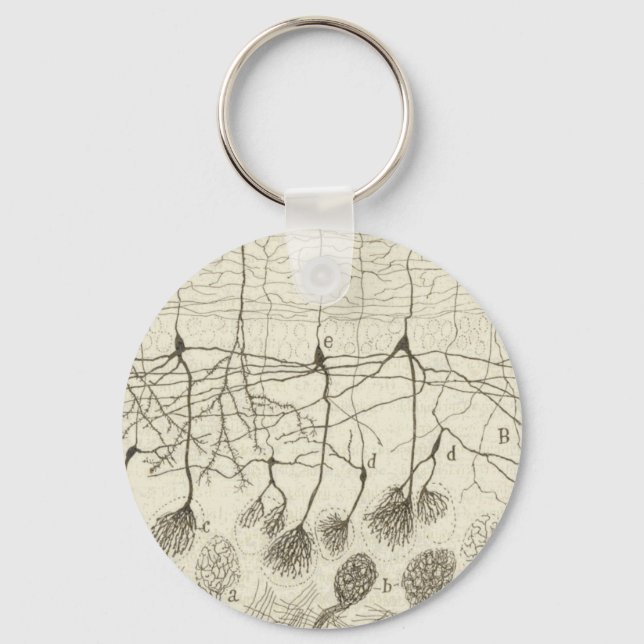 Porte-clés Cajal's Neurons 8 (Recto)