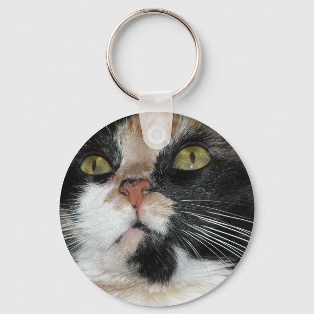 Porte-clés Calico Cat (Recto)
