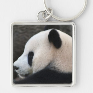 Porte-clés Câlins d'ours Panda