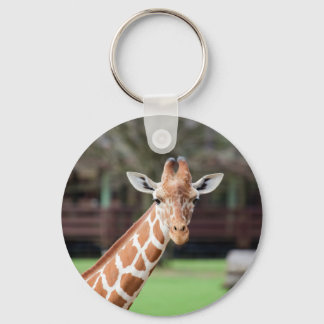 Porte-clés Camelopard (girafe)
