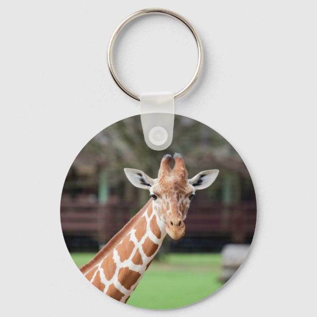 Porte-clés Camelopard (girafe) (Recto)
