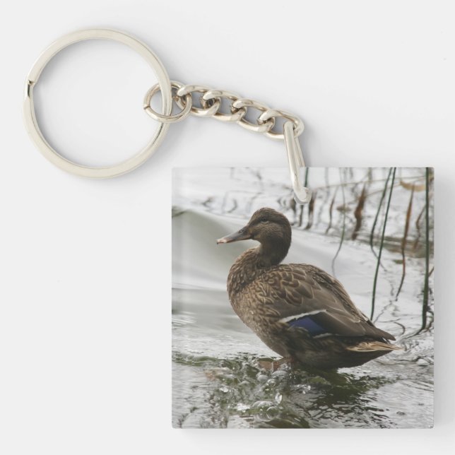 Porte-clés Canard gris sur la nuit du lac (Devant)
