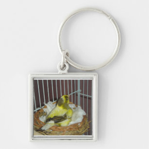 Porte-clés Canari d'emboîtement