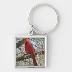 Porte-clés Cardinal