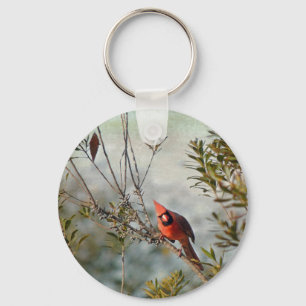 Porte-clés Cardinal de Wax Myrtle