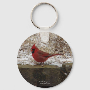Porte-clés Cardinal Hot Springs Nat. Park Mountain AR Cadeaux
