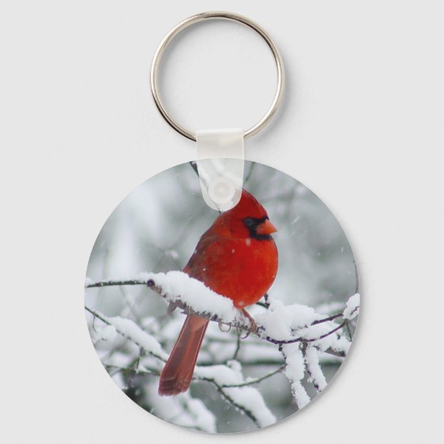 Porte-clés Cardinal rouge dans le Porte - clé de neige (Recto)