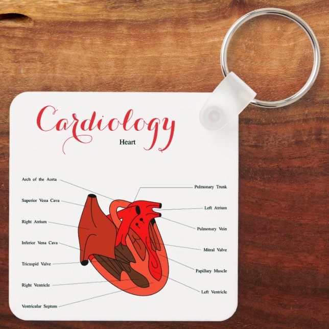 Porte-clés "Cardiology Key Ring" (Verso)