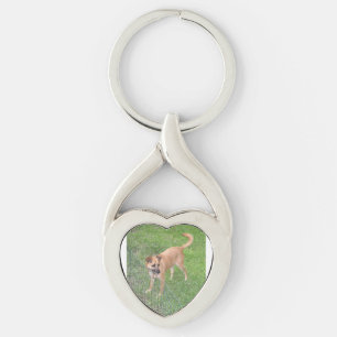 Porte-clés carolina chien plein 2