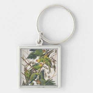 Porte-clés Carolina Parakeet, de 'Birds of America', 1829