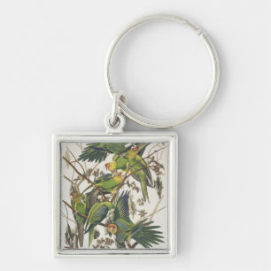 Porte-clés Carolina Parakeet, de 'Birds of America', 1829