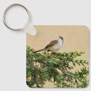 Porte-clés Carte postale du moineau