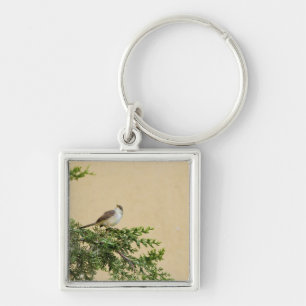 Porte-clés Carte postale Sparrow