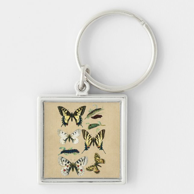 Porte-clés Caterpiliers, papillons et papillons (Devant)