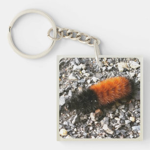 Porte-clés Caterpillar d'ours laineux