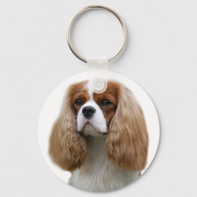 Porte-clés Cavalier King Charles Spaniel (Recto)