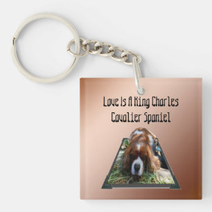 Porte-clés Cavalier Spaniel Popout Art, Clavier