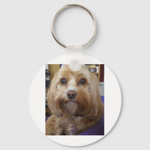 Porte-clés Cavapoo or Cavadoodle products