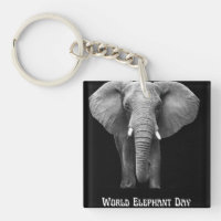 Célébrez la Journée mondiale des éléphants : Conce