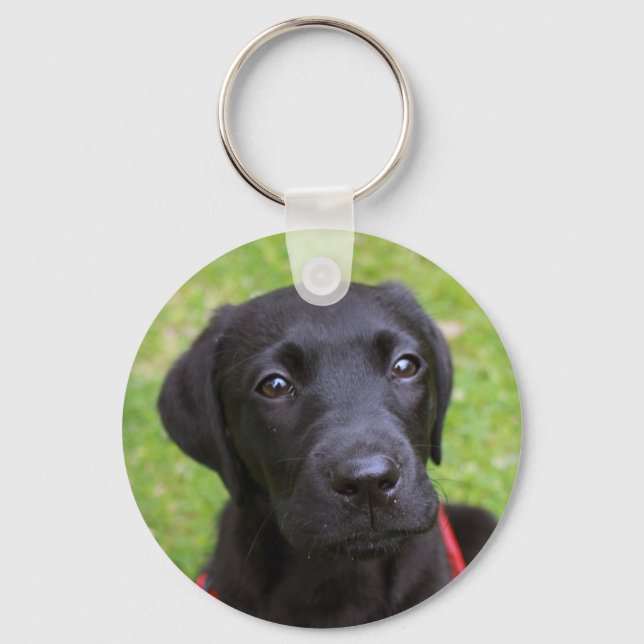 Porte-clés Cercle de clé Black Labrador (Recto)
