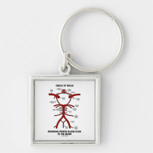 Porte-clés Cercle de willis fournissant le cerveau approprié