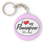 C'est un chien ! J'Aime Mon Pomapoo