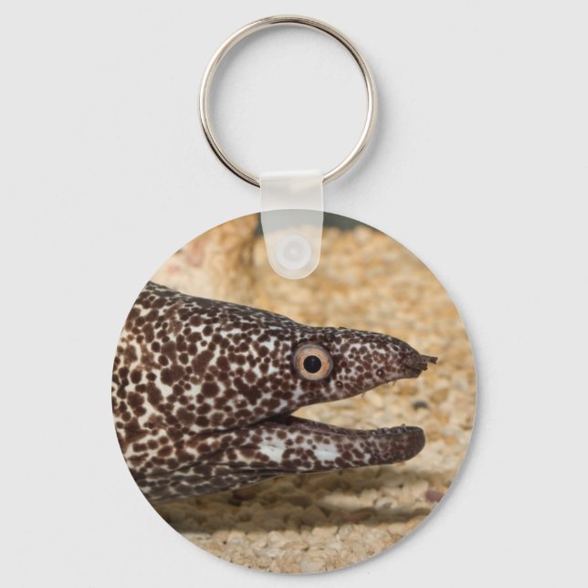 Porte-clés C'est un Moray ! (Recto)