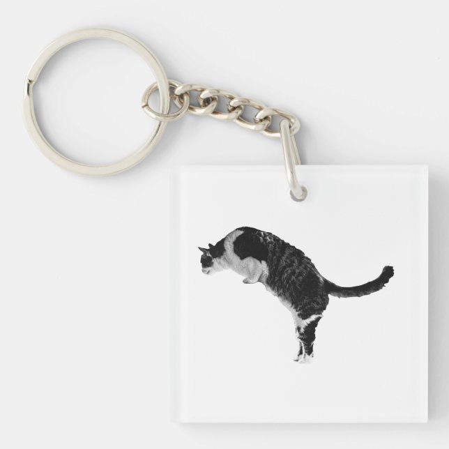 Porte-clés chat amical (Devant)