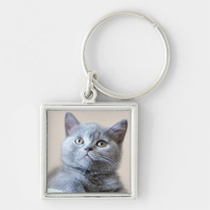 Porte-clés Chat britannique gris de Shorthair