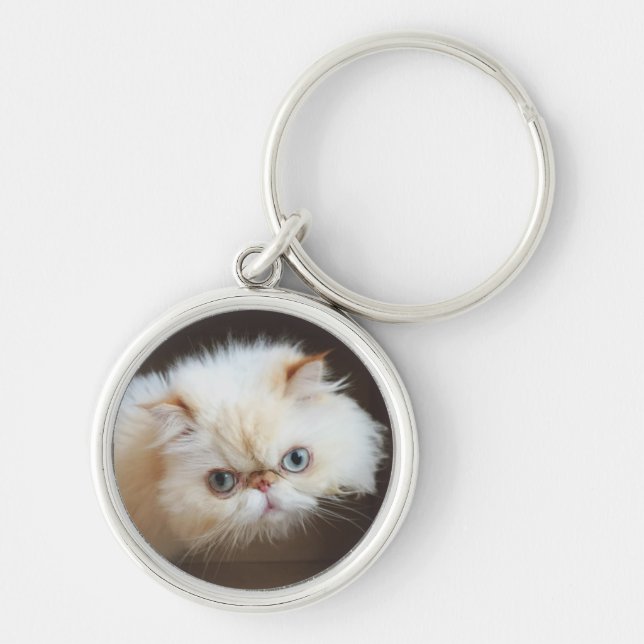 Porte-clés Chat dans une boîte (Devant)