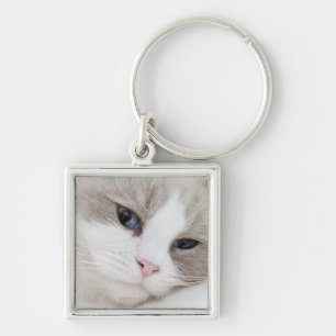 Porte-clés Chat de Ragdoll