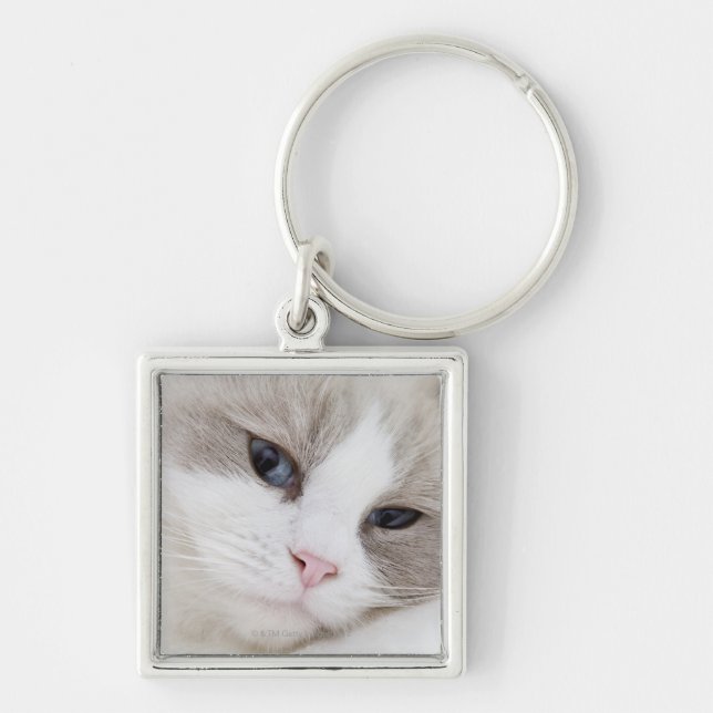 Porte-clés Chat de Ragdoll (Devant)