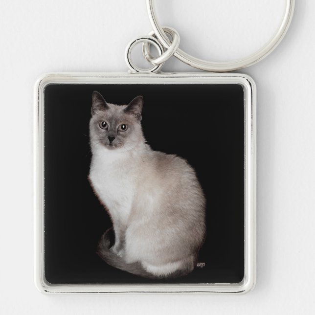 Porte-clés Chat de Siamese (Devant)