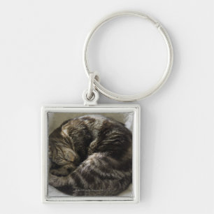 Porte-clés Chat de sommeil