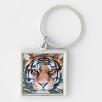 Chat Jungle - Tigre