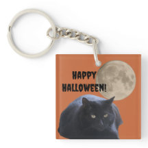 Chat noir Pleine lune Halloween