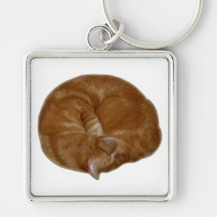 Porte-clés Chat orange de sommeil